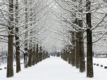 Private Tour of Nami Island, Elysian Ski Resort, and Garden of Morning Calm
