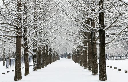 Private Nami Island, Elysian Ski and garden of morning calm Tour