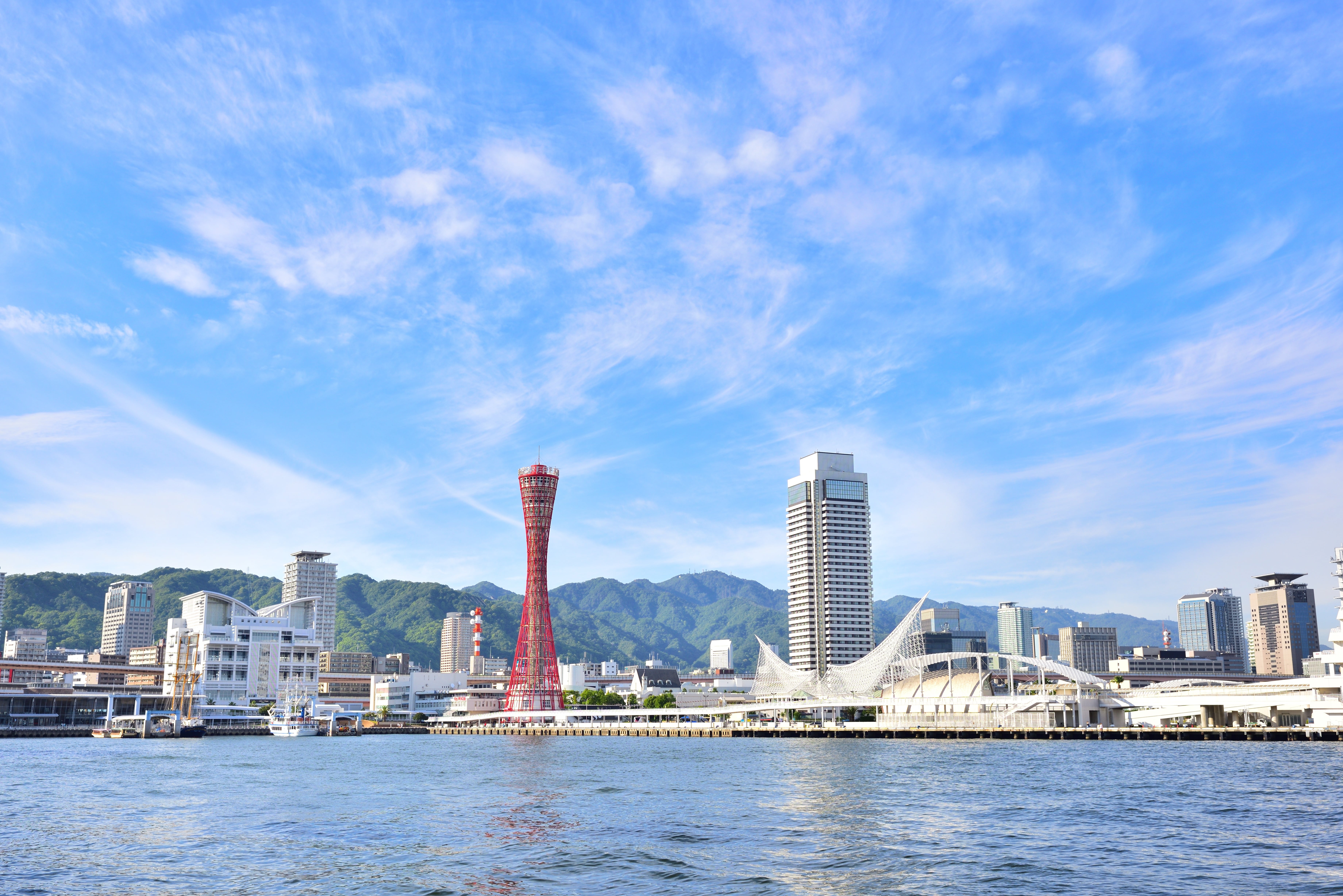 Kobe Custom Day Tour