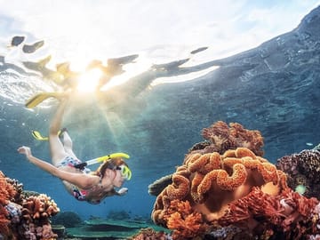 Negombo Half-Day Guided Snorkeling Tour
