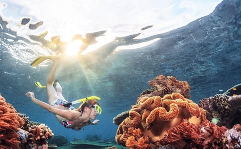 Guided Half Day Snorkeling Tour in Negombo, Sri Lanka