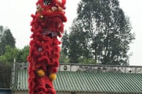 Private Half-Day Kungfu Experience in Foshan from Guangzhou 3