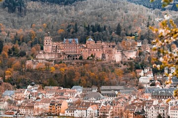 Heidelberg and Mannheim Day Trip with Guided Tour