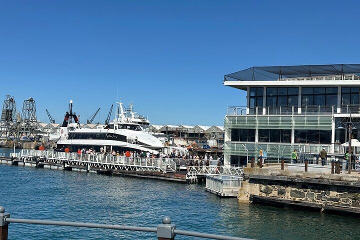 Robben Island Half Day Tour with Pre-Booked Ticket from Cape Town