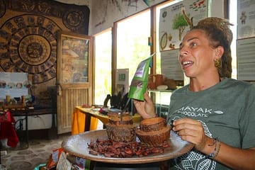 Private Minivan Tour with Local Guide in West Bay, Honduras