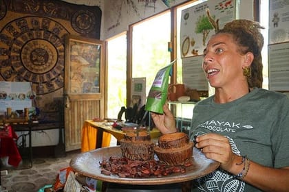 Minivan with Local Guide (3-6 Guests) Private Tour