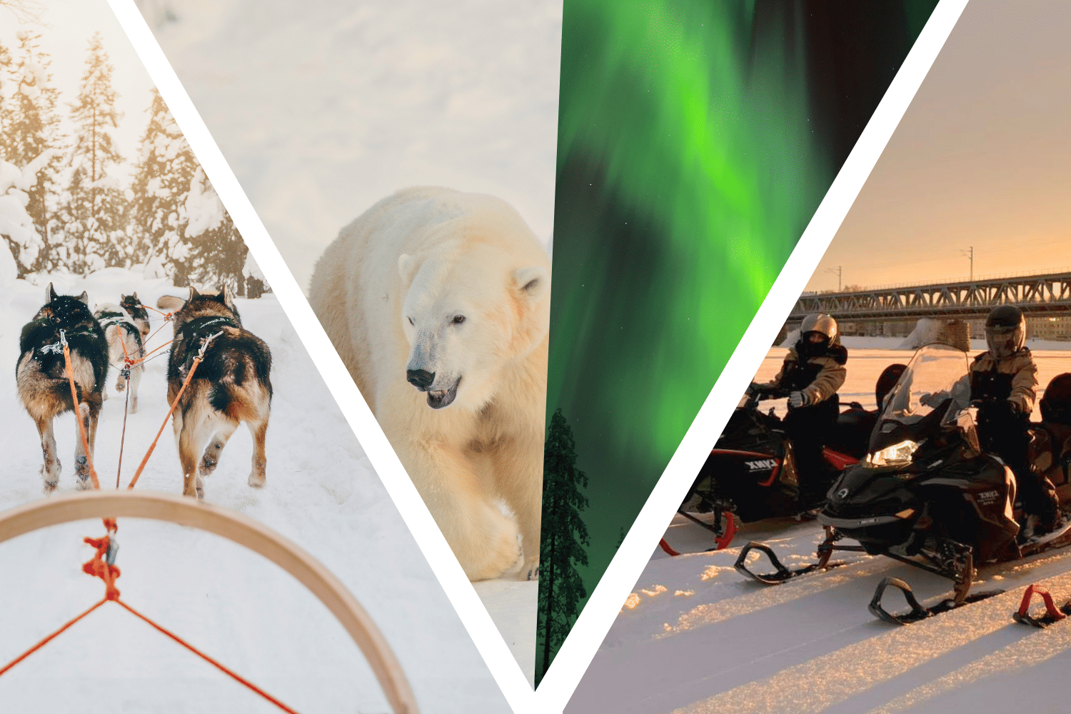 2 Day Tour Husky Ride, Snowmobiles, Northern Lights and Ranua Zoo