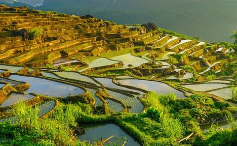 Off Road Trekking Pu Luong Nature Reserve 3 Day Tour From Hanoi