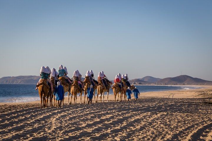 Sunset beach Camel ride with Mexican Buffet and Tequila Tasting