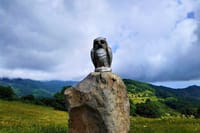 Discover Didgori: Turtle Lake, Kojori & Museum Tour 6