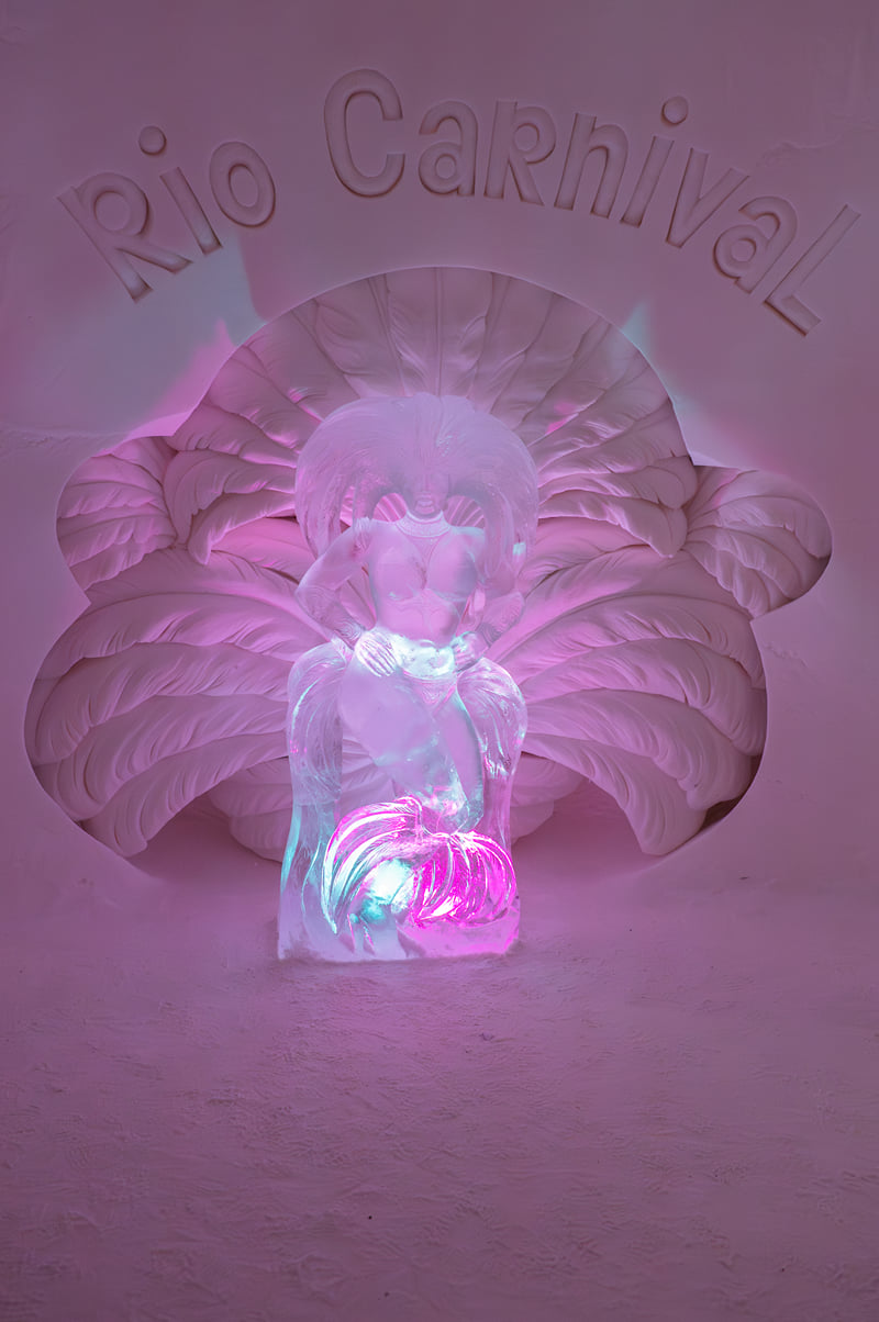 Art of Ice and Snow