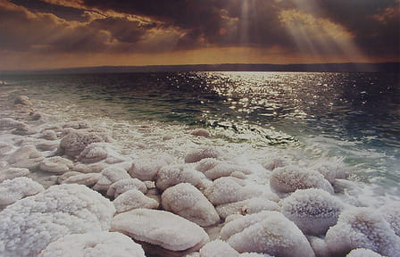 Dead Sea Half-Day Tour from Amman