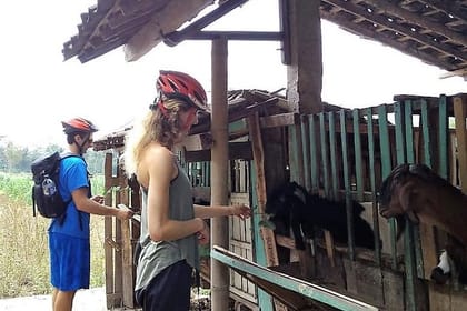 Private Yogyakarta Village Full-Day Bike Tour