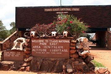 Full Day Private Tour to Tsavo East Park from Mombasa