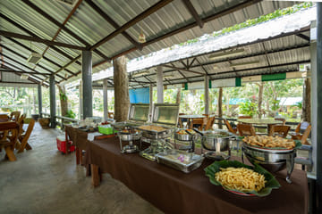 Khaolak: Phang Nga Ethical Elephant Sanctuary Day Trip