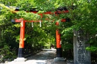 Kyoto Uji Matcha Morning Tour with English Speaking Guide 3
