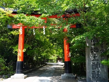 Kyoto Uji Matcha Morning Tour with English Speaking Guide