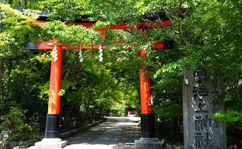 Kyoto Uji Matcha Morning Tour with English Speaking Guide