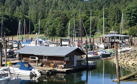Float Plane Tour and Dining Experience on Bowen Island