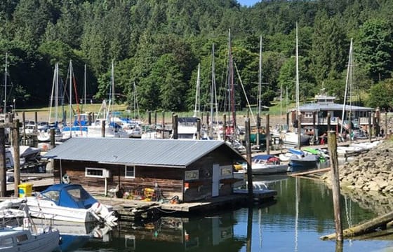 Float Plane Tour to Bowen Island with Dine-in