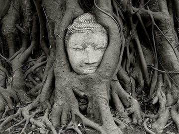 Private Tour: Fascinating Ayutthaya & Suphanburi Full Day Tour