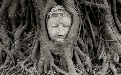 Private Tour: Fascinating Ayutthaya & Suphanburi Full Day Tour