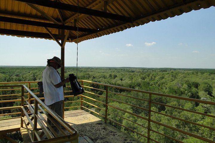 Full-day Can Gio Eco Escape And Wildlife Discovery