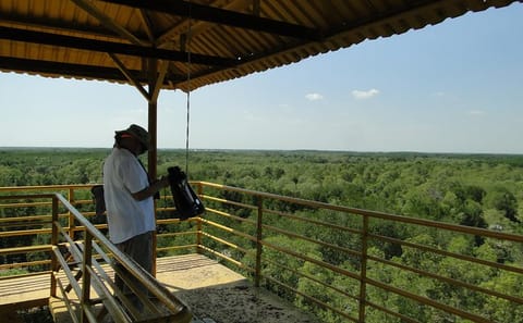 Can Gio Eco Tour and Wildlife Discovery from Ho Chi Minh City
