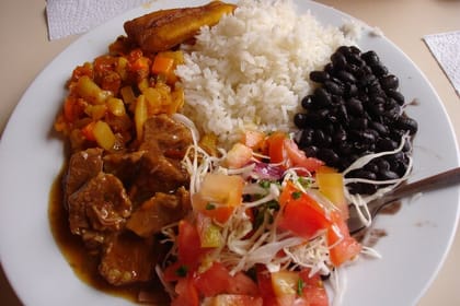 Canopy Tour in The Fabulous Hanging Bridges from San José