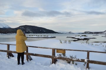 Private Half-Day Tour of Tierra del Fuego National Park, Ushuaia
