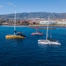 Whale Watching Catamaran in Costa Adeje 8