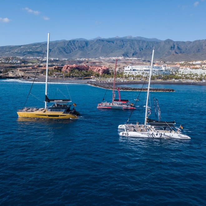 Whale Watching Catamaran in Costa Adeje 8