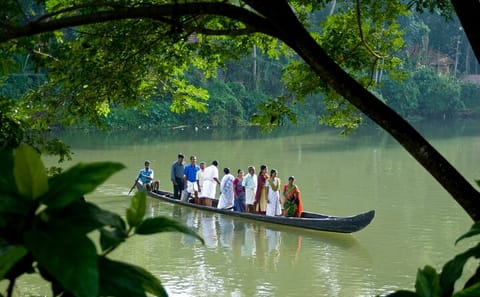 Backwater, Tea Estates, Temples & Palaces Tour from Cochin to Bangalore
