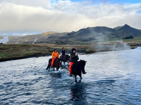 03C - Horses and Hot Springs, photo 3