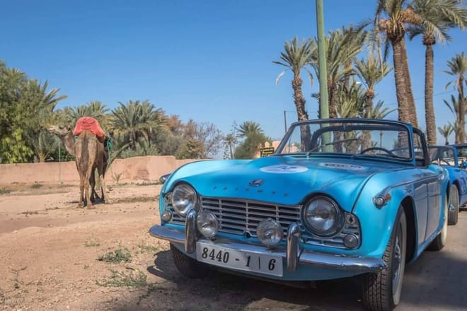 ½ Day : 1930’s Gentelman Vintage Car Ride & Camel Ride in Mythical Palm Groves | Private & Luxury 2
