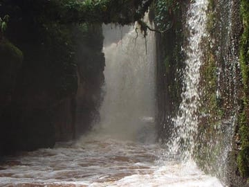 Falls