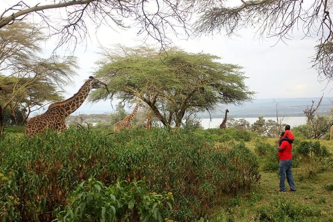 1-Day Lake Naivasha & Hell's Gate Safari photo 5