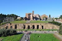 Private Tour Colosseum, Palatine Hill and Roman Forum 5