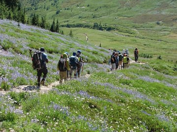 Small Group Mt. Rainier Tour with Air-Conditioned Van Transfer