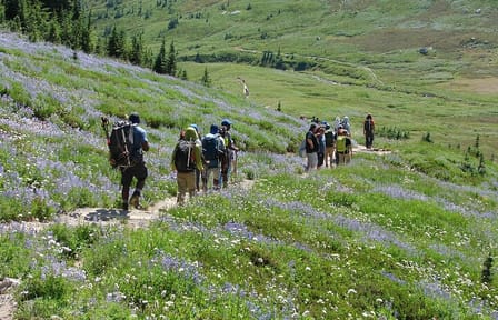 Small group Tour in Mt Rainier with air-conditioned Van Transfer