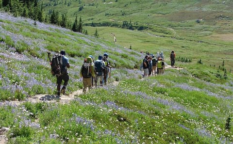 Small Group Mt. Rainier Tour with Air-Conditioned Van Transfer