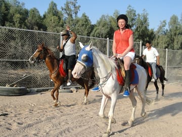 Horse Riding Adventure in Sharm El Sheikh, Egypt