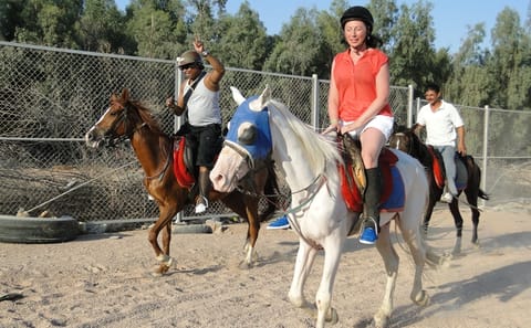 Horse Riding Adventure in Sharm El Sheikh, Egypt
