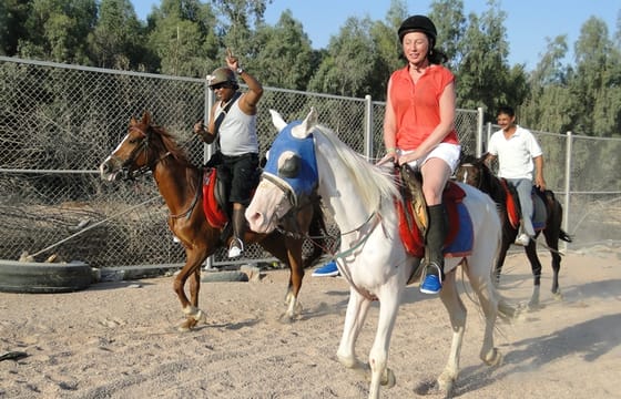 Horse Riding Adventure in Sharm El Sheikh, Egypt