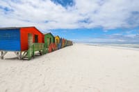 Cape Town: Private Day Trip to Cape Peninsula with a Local 2
