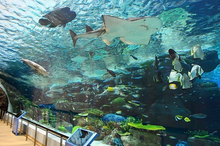 Legoland Japan & Sea Life: Nagoya Combo Admission Ticket