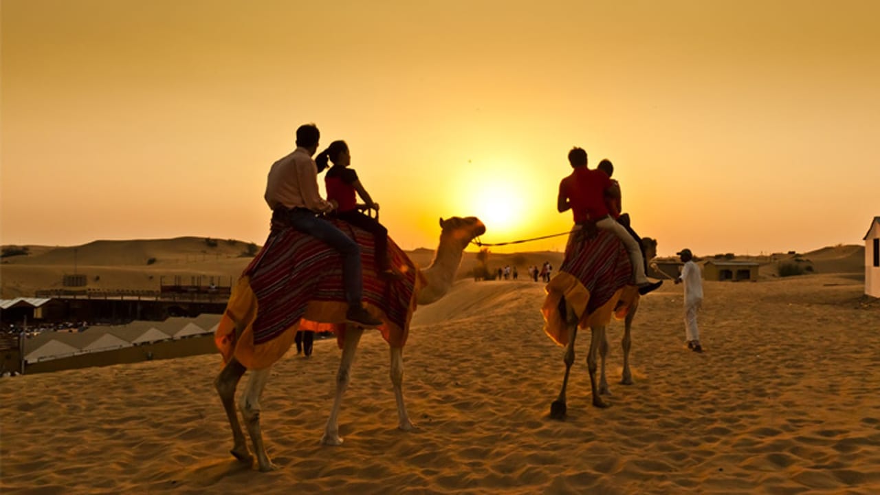 morning desert safari