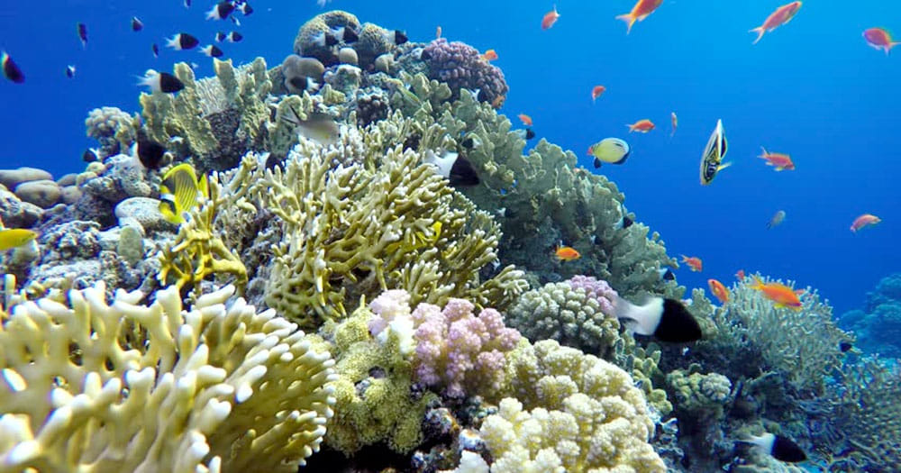 05 Day Adventure Tour excursions From Colombo  6