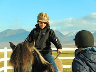 Pleasure in every hoof step, photo 7