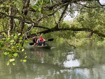 Langkawi Mangrove Kayaking Adventure With Nature Explorer